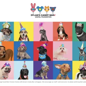 Exclusive Educator Discount + Support the Animal Foundation